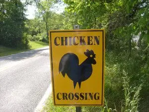 chicken_crossing