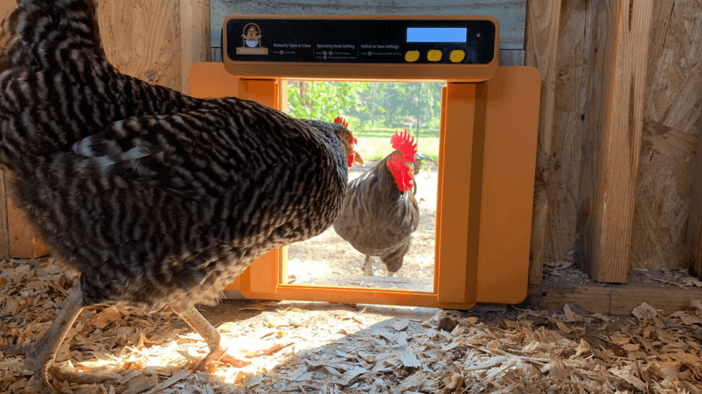 Automatic Chicken Coop Door