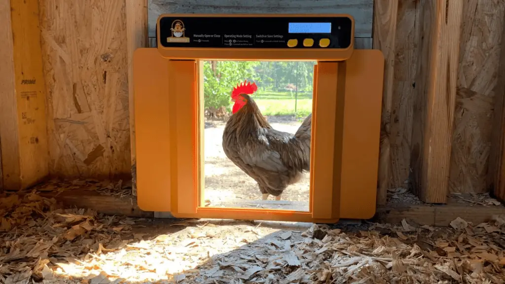 Chickcozy Automatic Chicken Coop Door